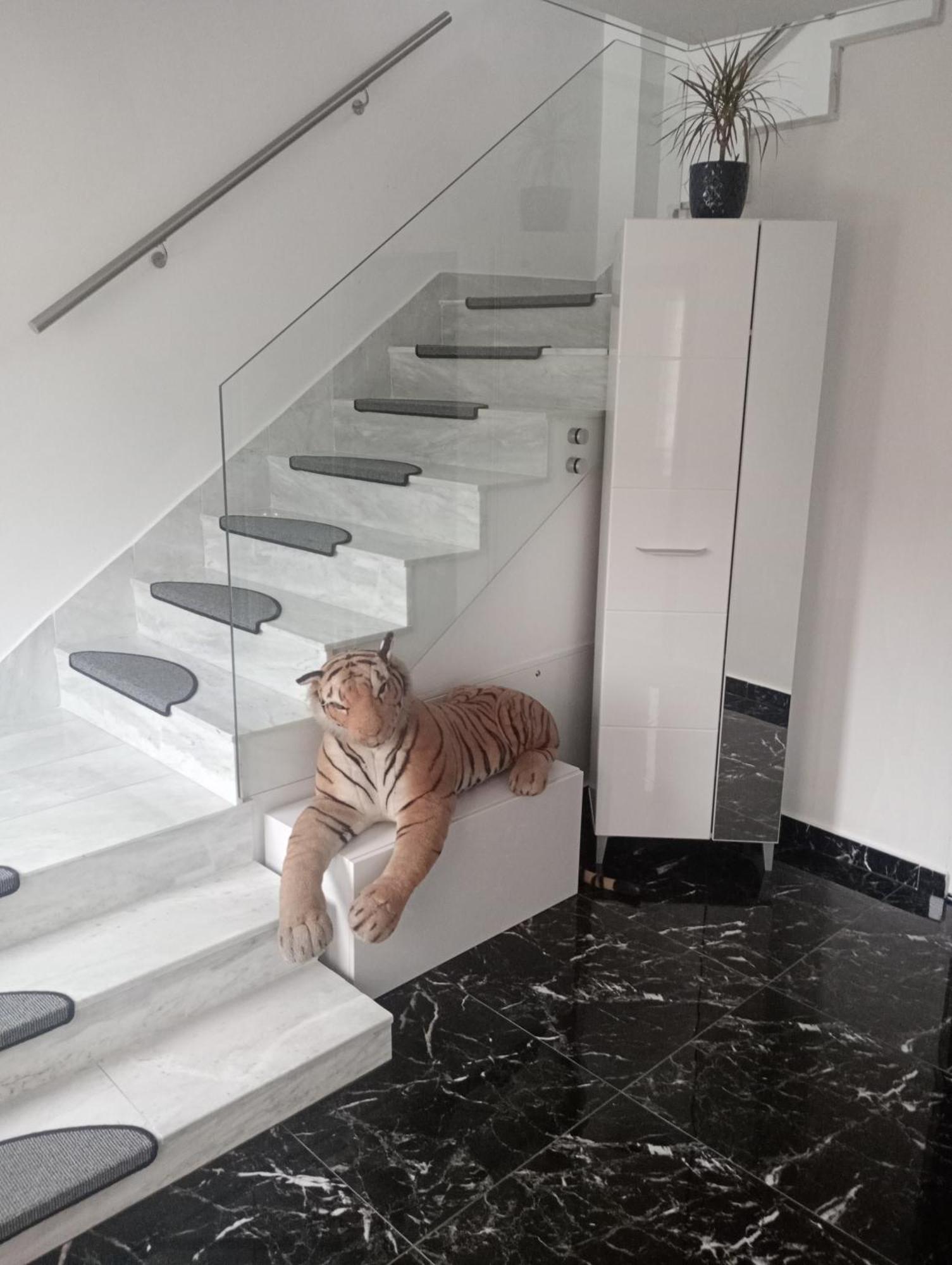 Izabella Guest House Сэчеле Экстерьер фото