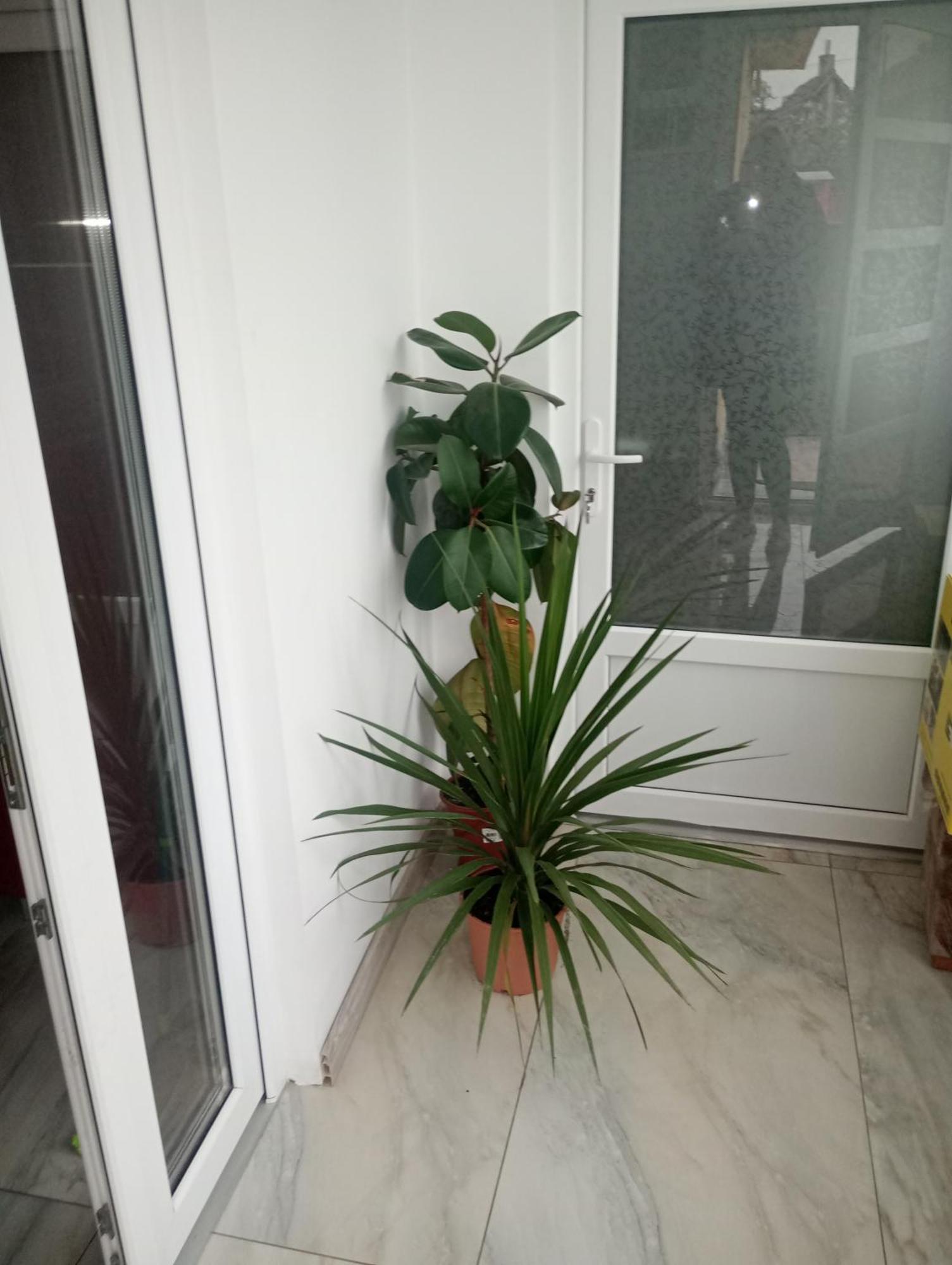 Izabella Guest House Сэчеле Экстерьер фото